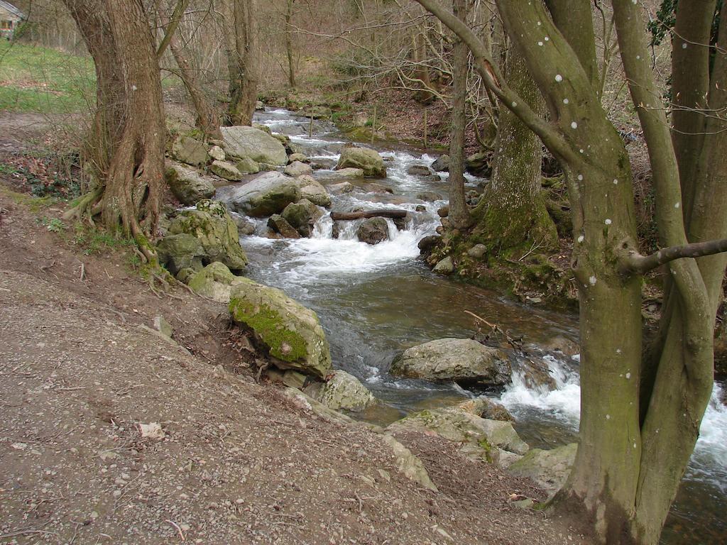 Gite Du Ninglinspo Aywaille Habitación foto